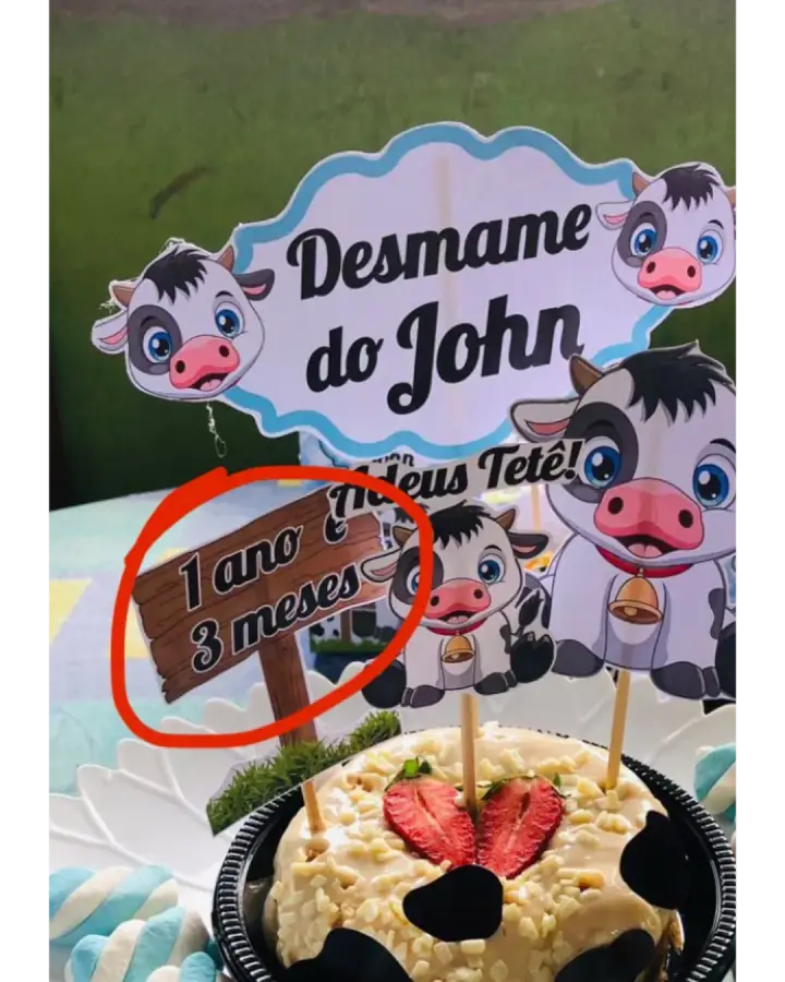 Depoimento real de mãe que fez o desmame sem choro com o Kit da Dra. Bruna Jovino — print 10